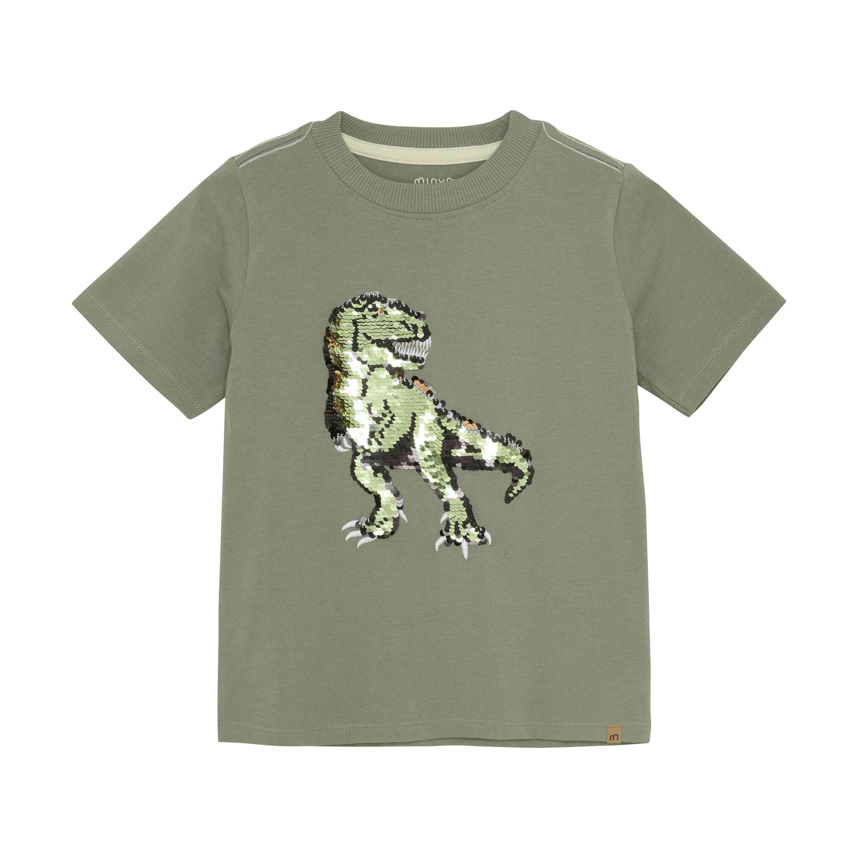 Jungen T-Shirt mit Dinosaurier