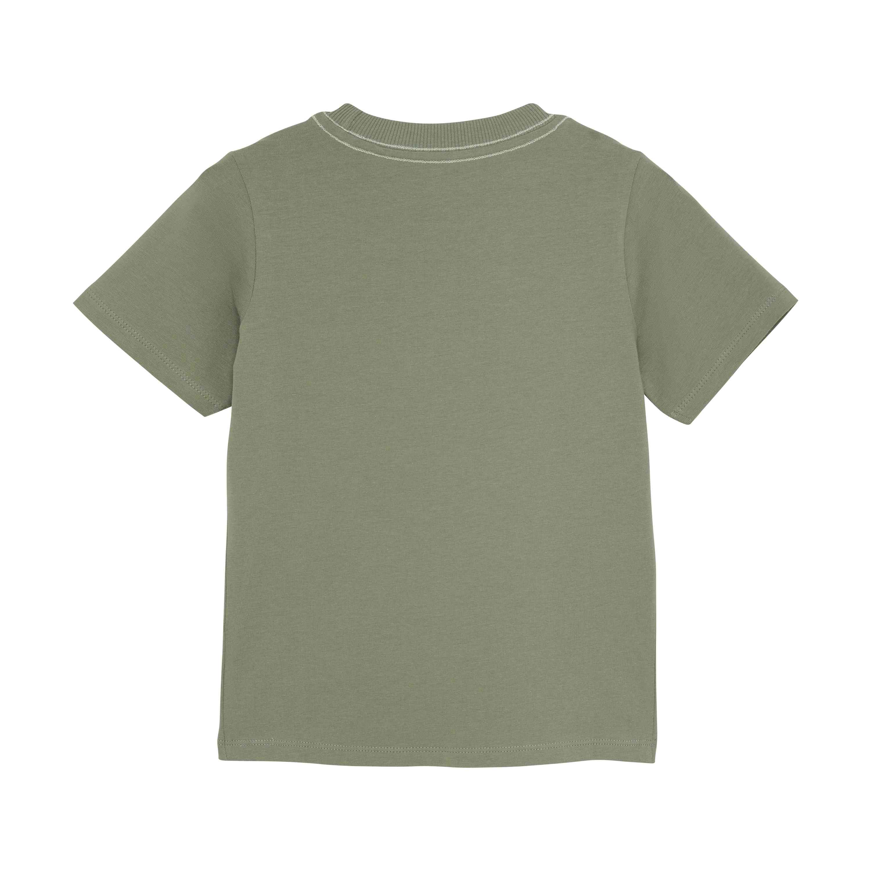 Jungen T-Shirt mit Dinosaurier