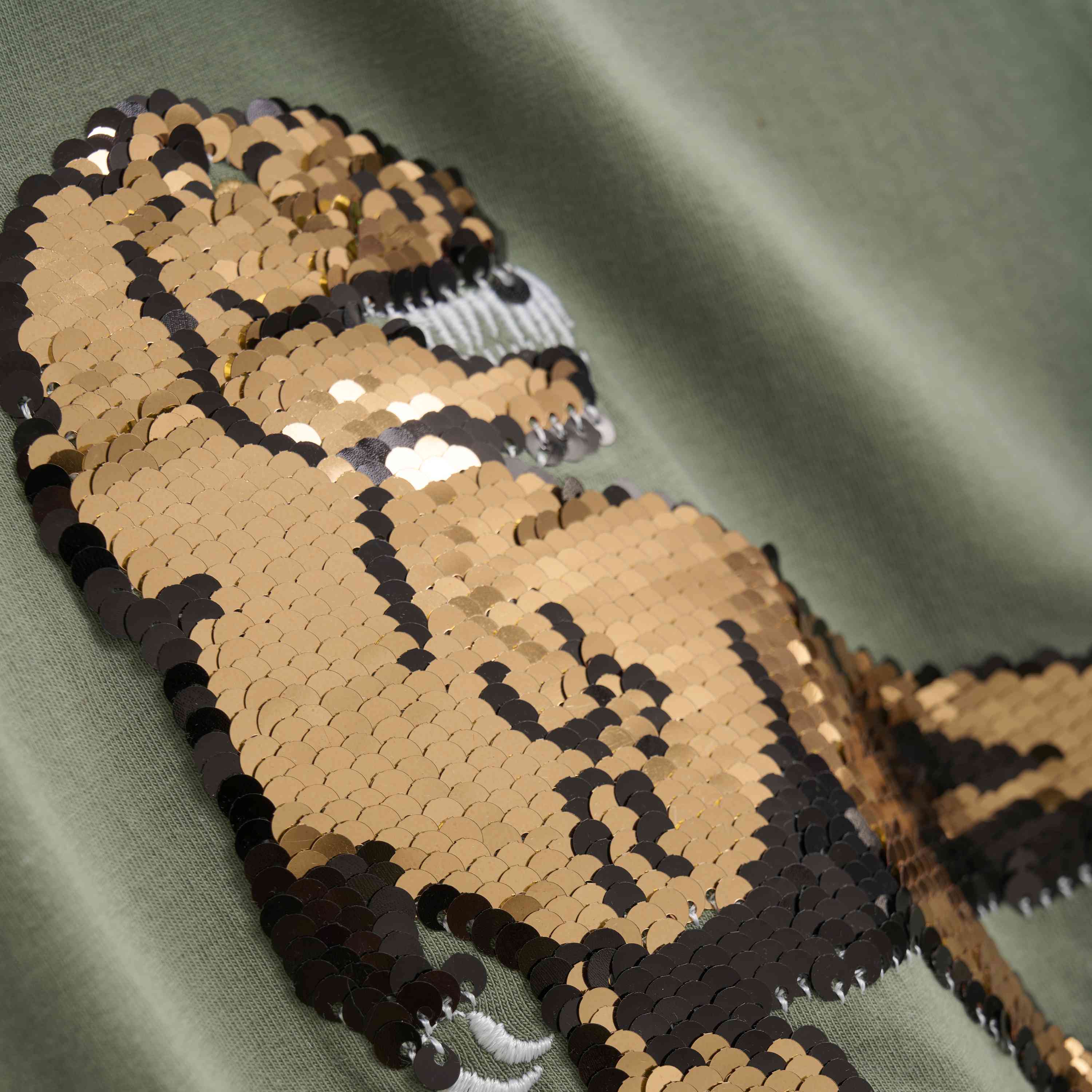 Jungen T-Shirt mit Dinosaurier