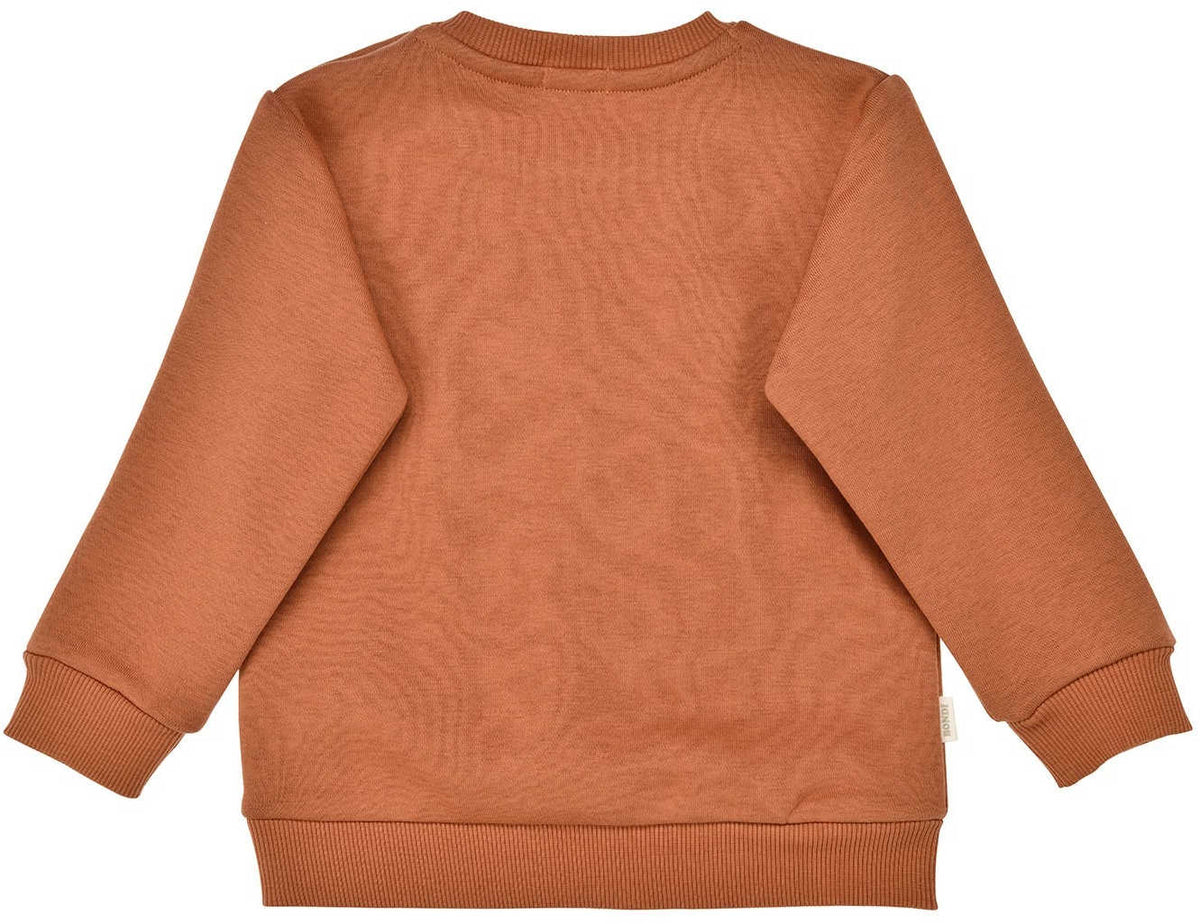 Sweatshirt 'Waschbär' - nila kids