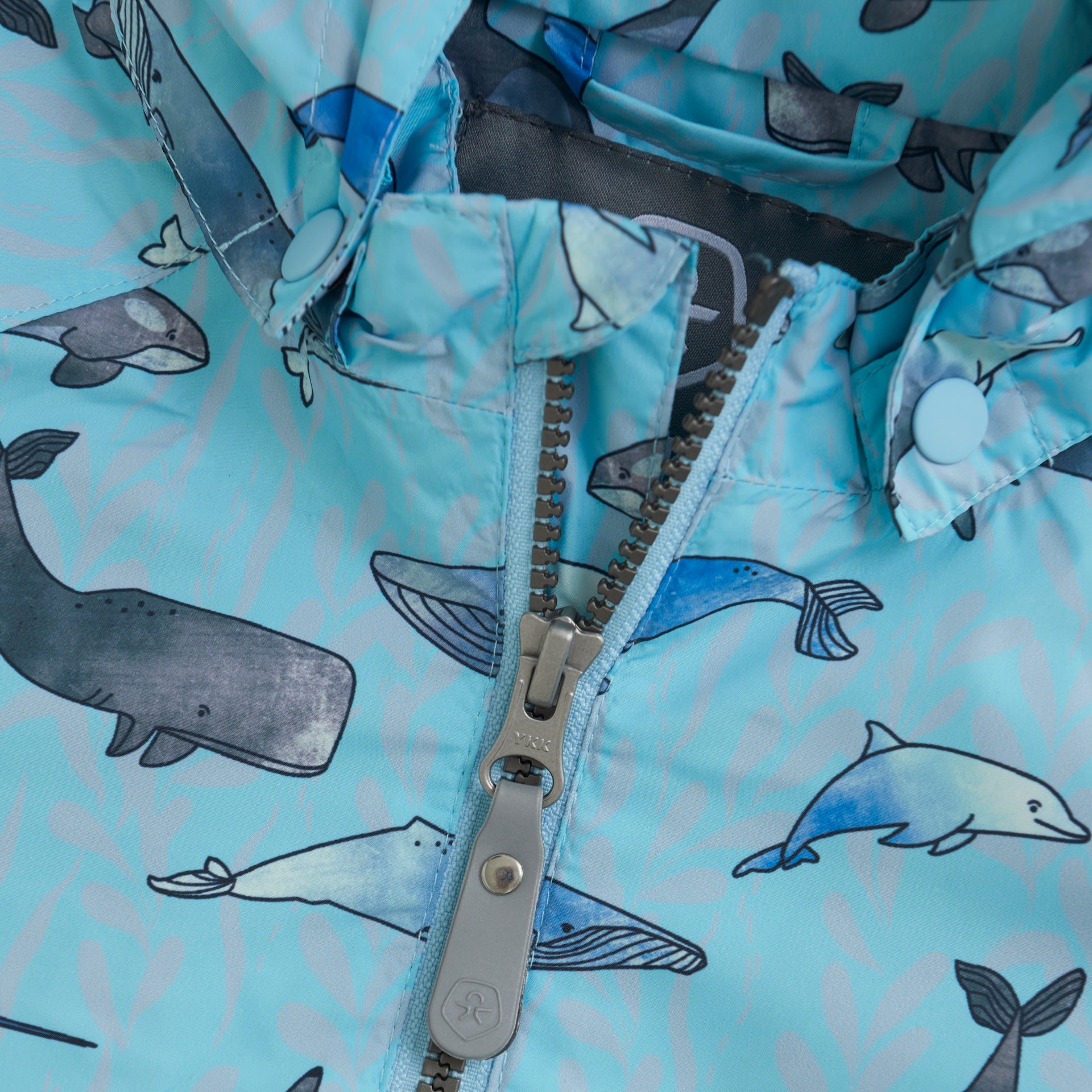 Jacke Ozean