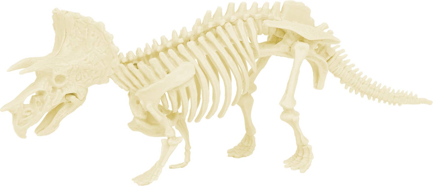 KIT PALEO: TRICERATOPS