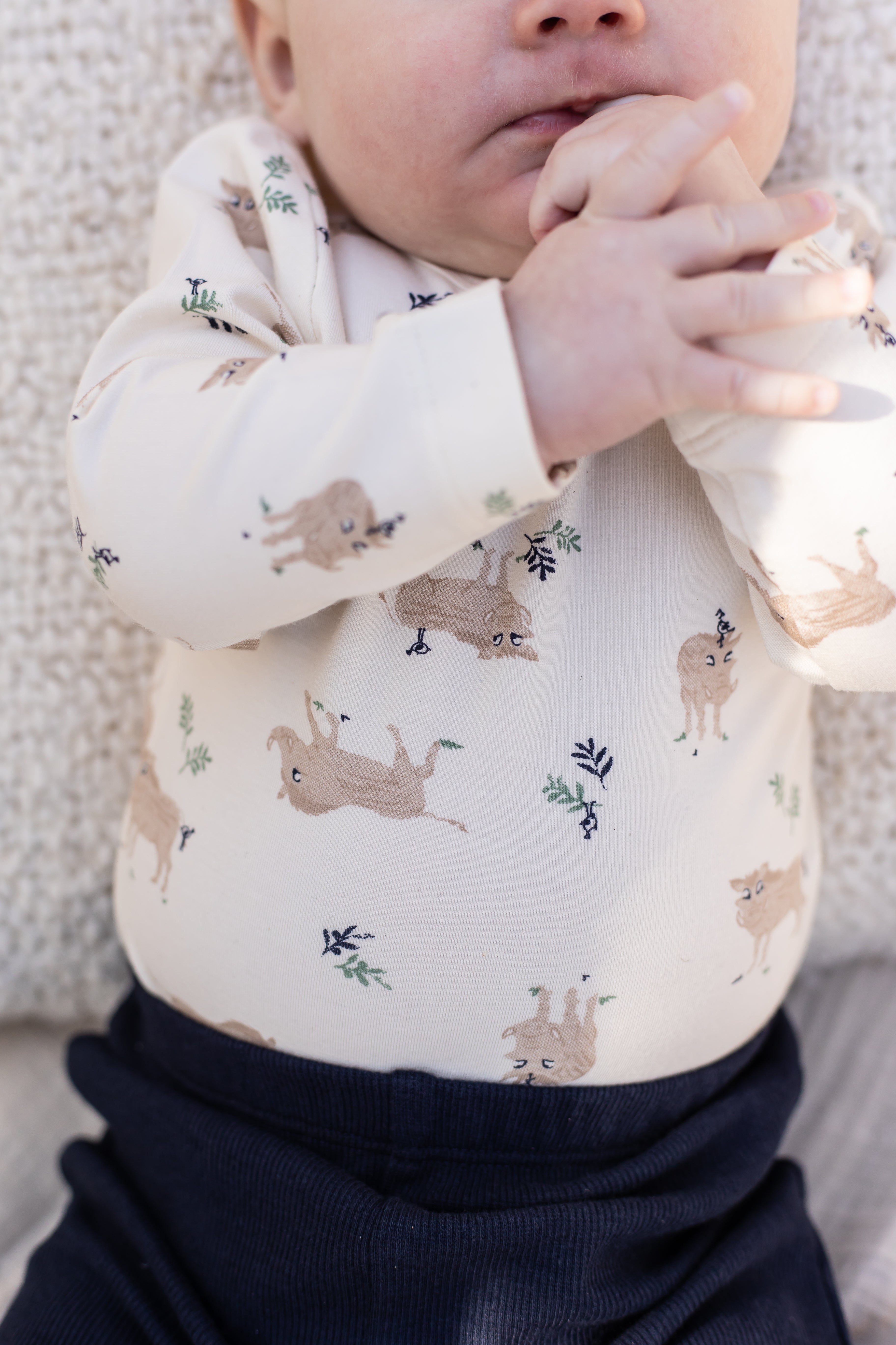 Body langarm Bambus-Viskose Wildschwein