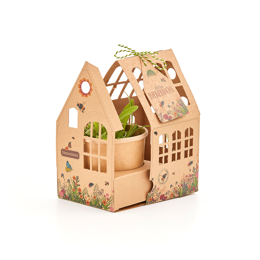 Ein dekorativer Kartonhalter in Form eines Hauses mit Blumen- und Schmetterlingsmotiven an den Seiten, in dem sich eine kleine Pflanze in einem biologisch abbaubaren Topf befindet. Die Verpackung ist perfekt für alle, die gerne Wildblumensamen sammeln. Sie hat ausgeschnittene Fenster und ist oben mit einer grün-weißen Schnur befestigt.
Die Stadtgärnter – Bieneninsel (Gewächshäuschen) von Die Stadtgärnter.