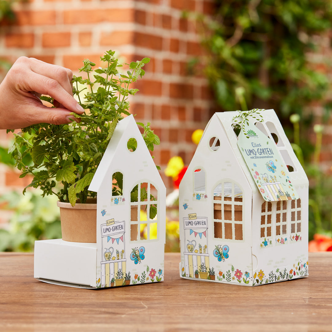 Eine Hand pflegt eine kleine Kräuterpflanze, die in einem Terrakotta-Topf wächst. Der Topf steht in einem dekorativen weißen Kartonhaus mit Fenstern und Blumenmustern, das an den malerischen Charme vieler Gärten der Stadtgärnter Nordhorn erinnert. Im Hintergrund ist ein weiteres identisches Haus geschlossen zu sehen. Die Kulisse scheint ein Außengarten zu sein.