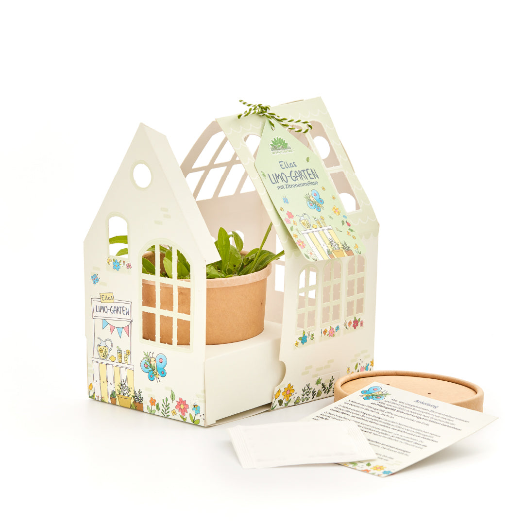 Eine kleine Pflanze wächst im Gewächshäuschen „Ellas Limo-Garten Zitronenmelisse“ von Die Stadtgärtner – einem kleinen Gewächshaus aus Karton mit Blumen- und Schmetterlingsmotiv, das an einen Matschküchengarten erinnert. Daneben befinden sich abnehmbare Deckel, eine Anleitung und ein kleines weißes Päckchen.