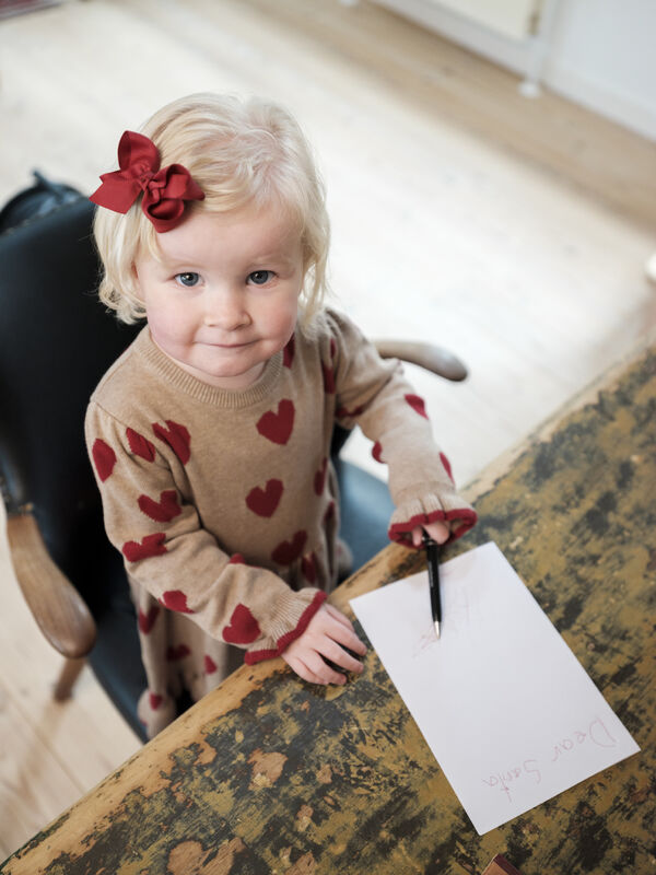 HCFanetha -  Haarspangen-Set Schleife