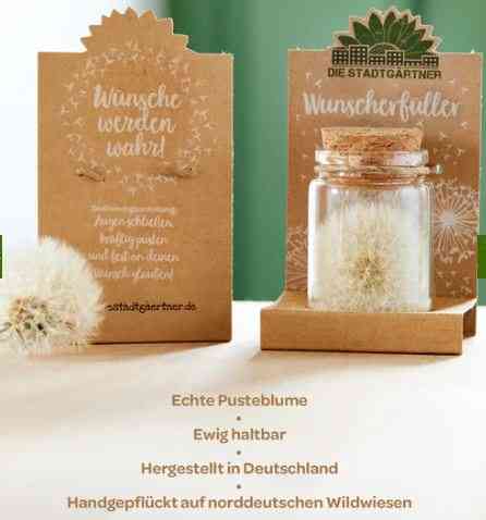 Ein Produktbild mit einem Löwenzahnsamenkopf mit der Aufschrift „Echte Pusteblume“, der in einem kleinen Glasgefäß platziert ist. Das Glas steht auf einem Holzständer mit einem Schild mit der Aufschrift „Die Stadtgärnter – Wunscherfüller“ und wird auf Deutsch beschrieben, wobei Herkunft und Haltbarkeit detailliert beschrieben werden – perfekt als pädagogisches Spielzeug ab 2 für fantasievolles Spielen.