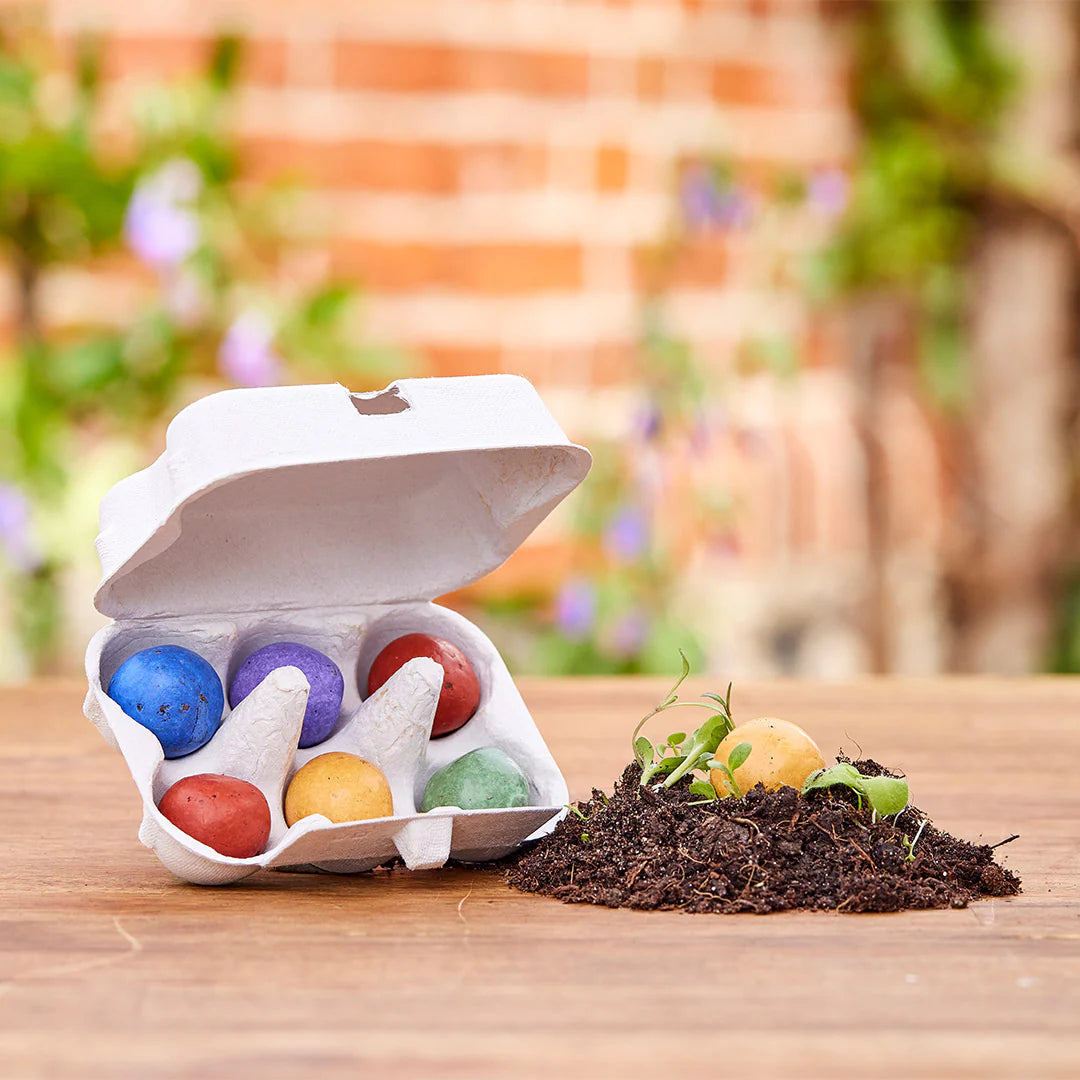 Oster-Blumen Saatkugeln