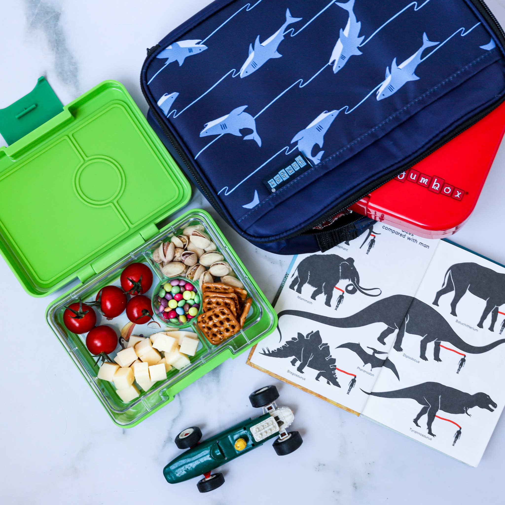 Yumbox Auslaufsichere Bento-Snackbox – Grün mit Haifisch-Einsatz