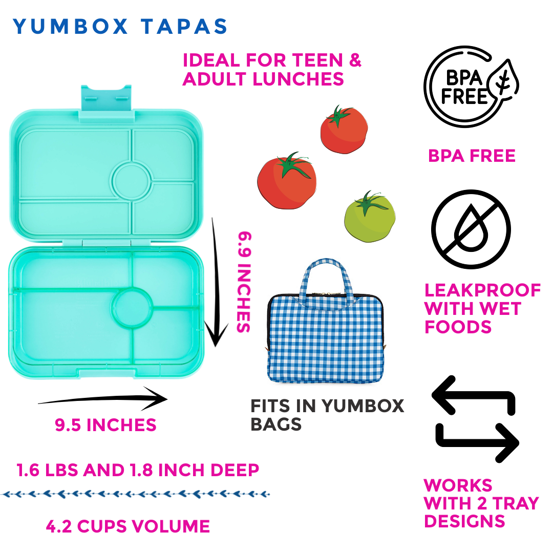 Auslaufsichere Bento-Box Tapas mit 5 Fächern und transparentem Bali Aqua – extra gross