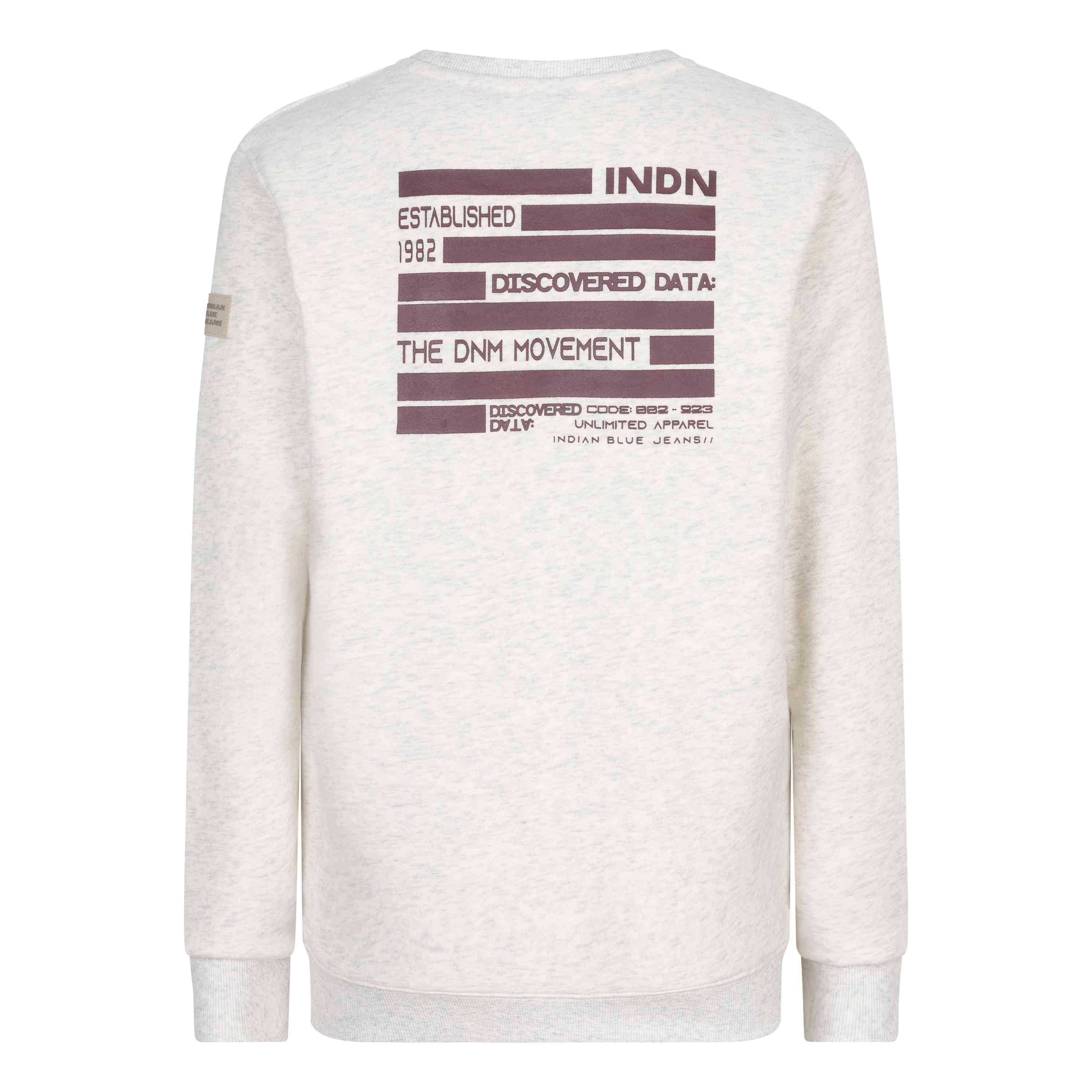 Der Indian Blue Jeans Pullover Backprint ist ein langärmeliges, helles Sweatshirt mit kastanienbraunem Text und Grafiken auf der Rückseite. Der Text enthält Sätze wie „ETABLISHED 1982“, „DISCOVERED DATA“ und „THE DNM MOVEMENT“ sowie zusätzlichen kleineren Text.