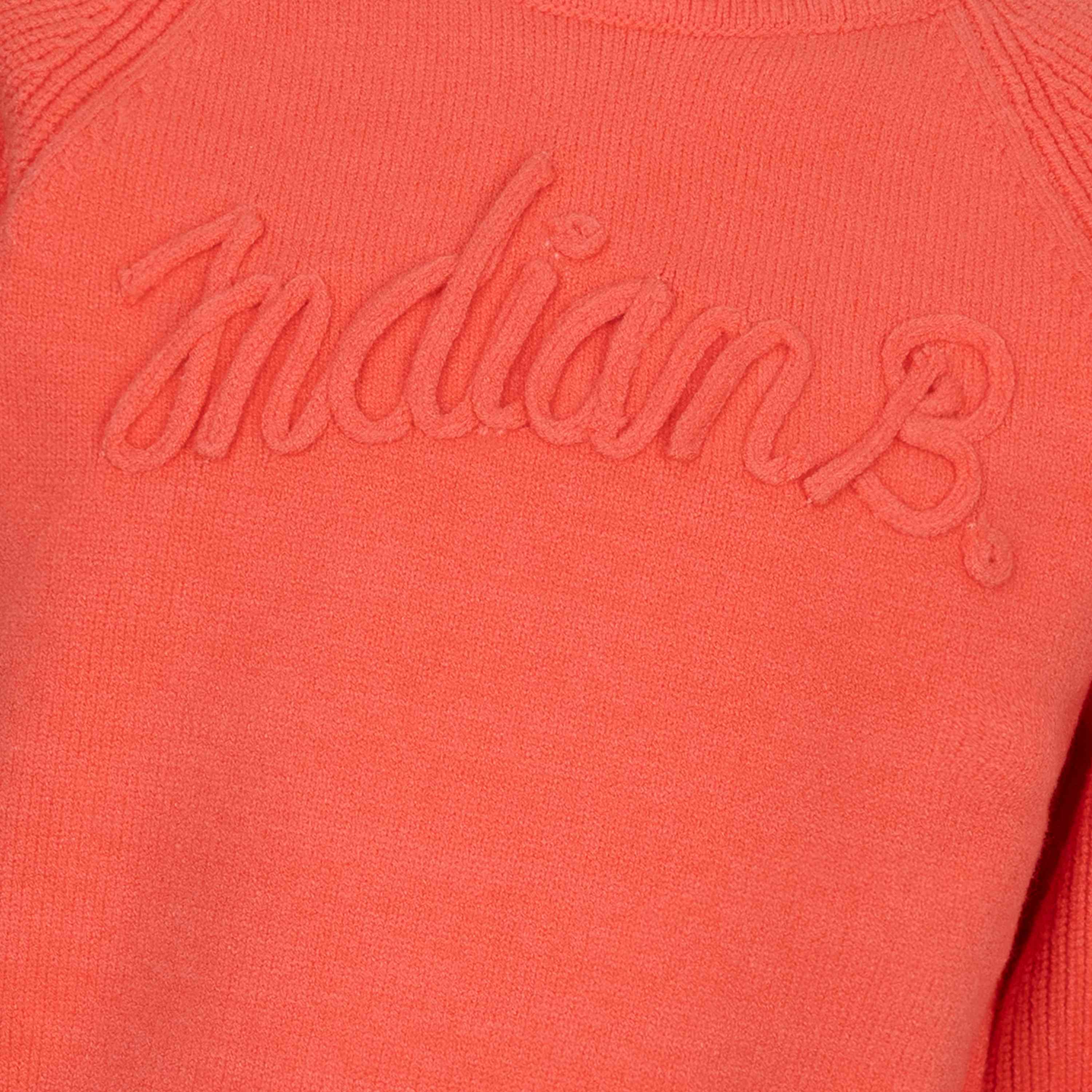 Indian Blue Jeans - Pullover