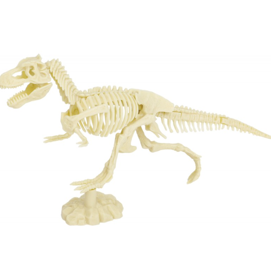 Ein detaillierter Modellbausatz eines Tyrannosaurus-Rex-Skeletts in Cremeweiß mit dem charakteristischen großen Kopf mit scharfen Zähnen, kurzen Vorderbeinen, langen Hinterbeinen und einem verlängerten Schwanz. Dieser Dinosaurier von Ulysse Couleurs d'Enfance – Entdeckungsspielzeug: Dinosaurier ist so positioniert, als würde er auf einer kleinen Plattform laufen oder rennen, perfekt für jeden angehenden Paläontologen.