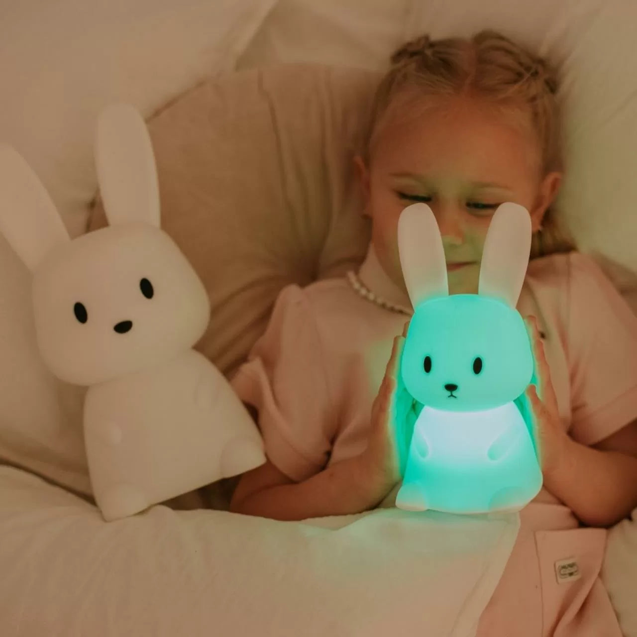 LED Hase