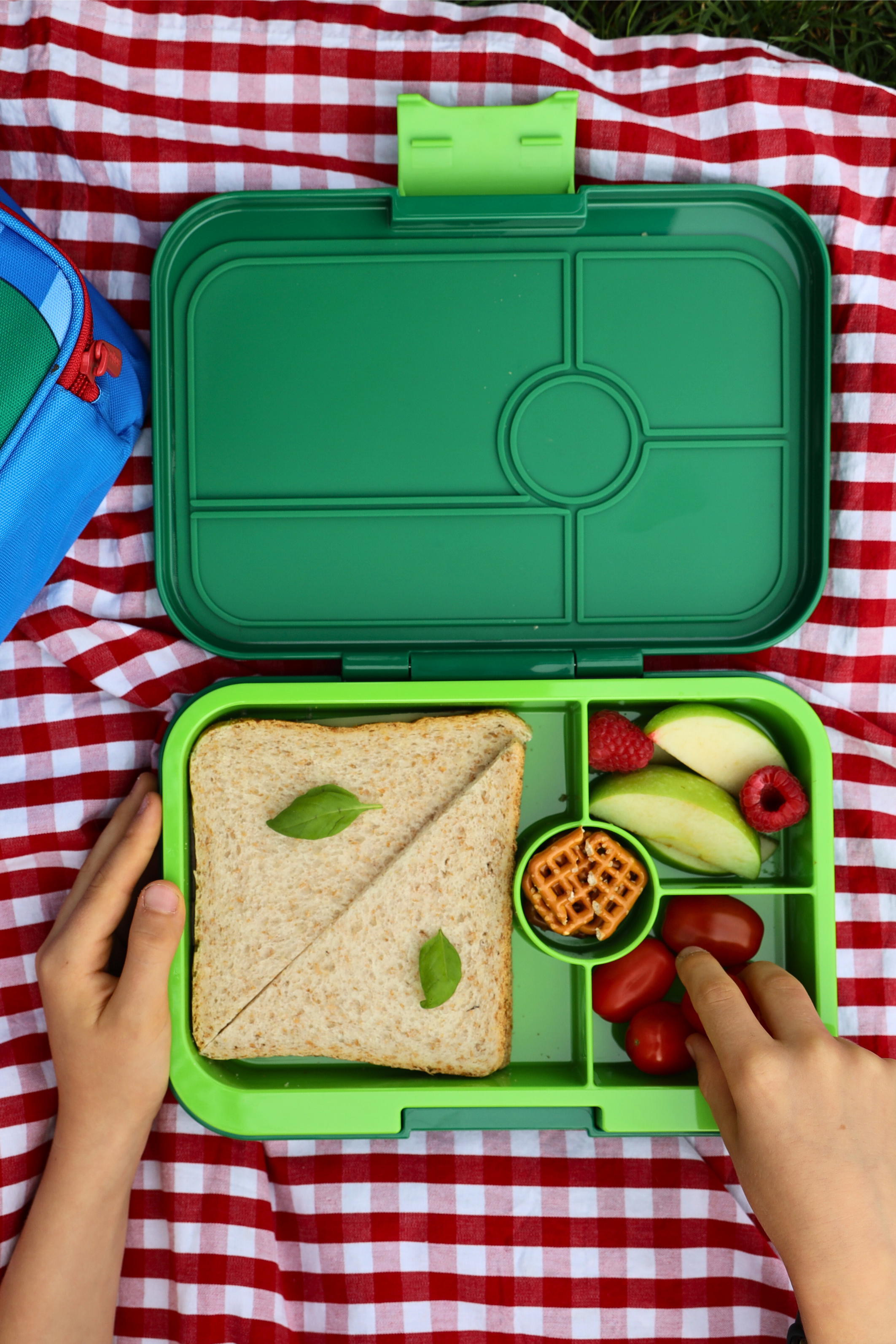 Auslaufsichere Yumbox Tapas Bento Lunchbox - Palmgrün - 4 Fächer Grosse Grösse
